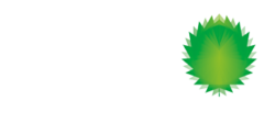 Logo NVT - white glow