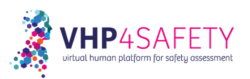 Launch Virtual Human Platform